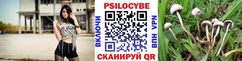 Галлюциногенные грибы мицелий  blacksprut рабочий сайт  Первомайск 